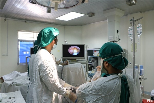 PT images